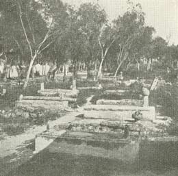 Muhammeddansk kirkegård.