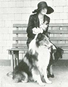 Collie.